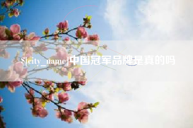龙岩中国冠军品牌是真的吗