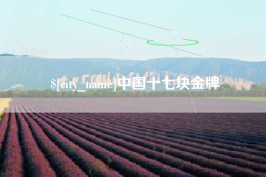 龙岩中国十七块金牌