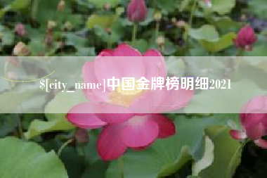 龙岩中国金牌榜明细2021