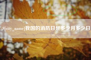 龙岩我国的消防日是多少月多少日