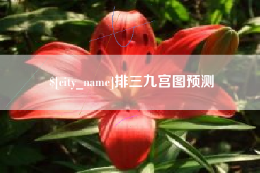 龙岩排三九宫图预测