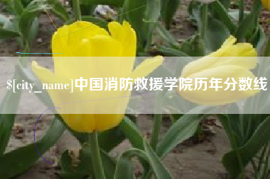 龙岩中国消防救援学院历年分数线