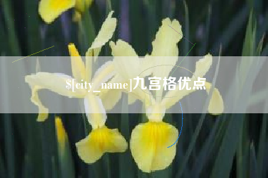龙岩九宫格优点