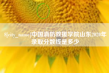 龙岩中国消防救援学院山东2020年录取分数线是多少