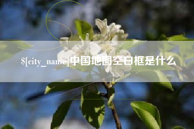 龙岩中国地图空白框是什么