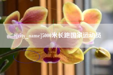龙岩5000米长跑国家运动员
