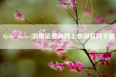 龙岩消防证查询网上查询官网下载