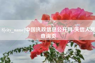 龙岩中国执政信息公开网-失信人员查询页