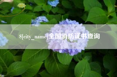 龙岩全国消防证书查询