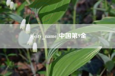 龙岩中国第9金