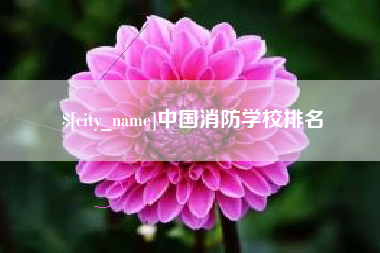 龙岩中国消防学校排名