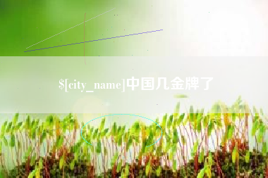 龙岩中国几金牌了