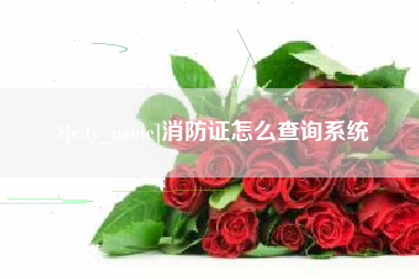 龙岩消防证怎么查询系统