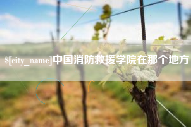 龙岩中国消防救援学院在那个地方