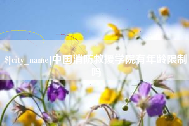 龙岩中国消防救援学院有年龄限制吗