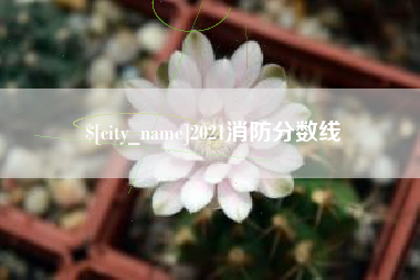 龙岩2021消防分数线