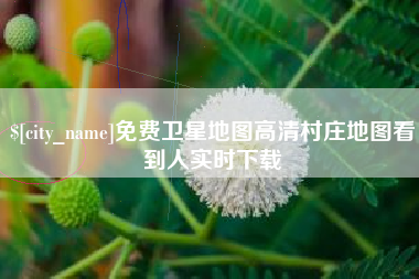 龙岩免费卫星地图高清村庄地图看到人实时下载