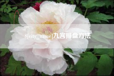 龙岩九宫排盘方法