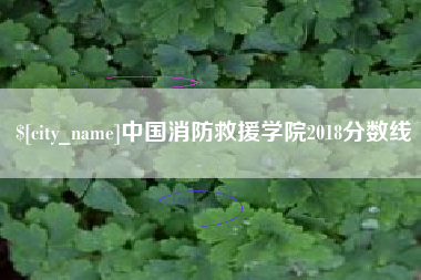 龙岩中国消防救援学院2018分数线