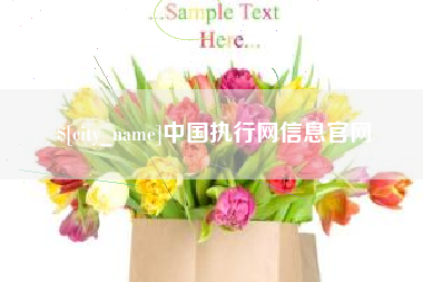 龙岩中国执行网信息官网