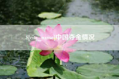 龙岩中国夺金情况