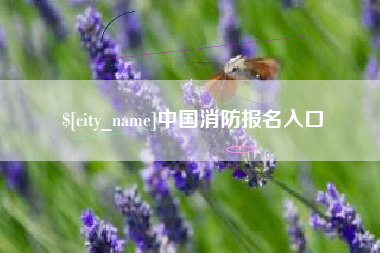 龙岩中国消防报名入口