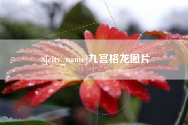 龙岩九宫格龙图片