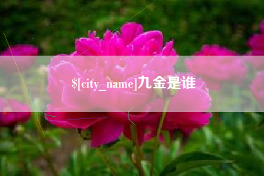 龙岩九金是谁