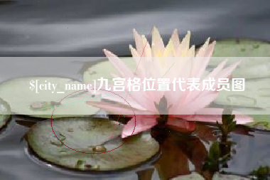 龙岩九宫格位置代表成员图