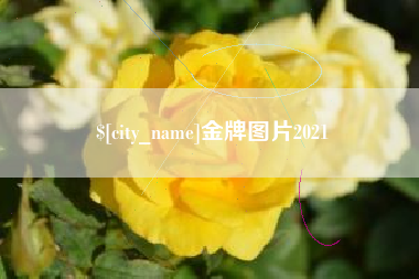 龙岩金牌图片2021