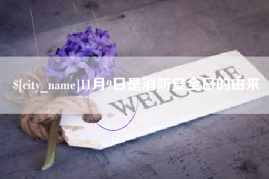 龙岩11月9日是消防安全日的由来