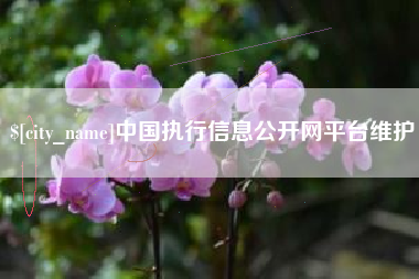 龙岩中国执行信息公开网平台维护