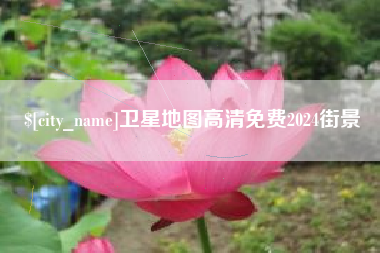 龙岩卫星地图高清免费2024街景