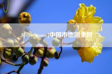 龙岩中国市地图全图