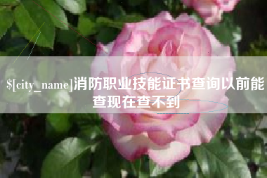 龙岩消防职业技能证书查询以前能查现在查不到
