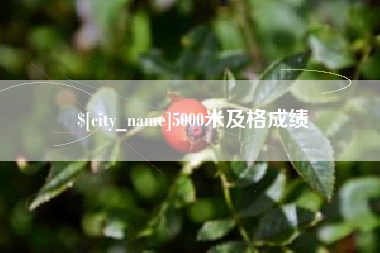 龙岩5000米及格成绩