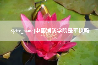龙岩中国消防学院是军校吗