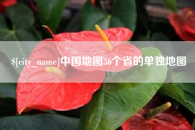 龙岩中国地图36个省的单独地图