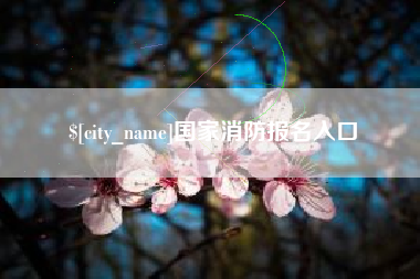 龙岩国家消防报名入口