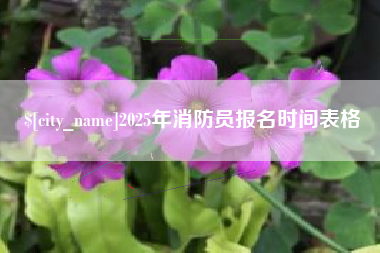 龙岩2025年消防员报名时间表格