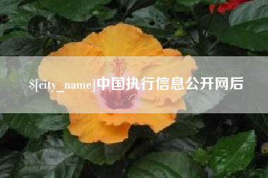 龙岩中国执行信息公开网后