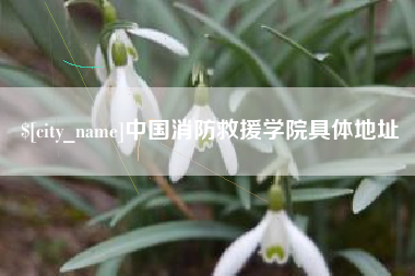 龙岩中国消防救援学院具体地址