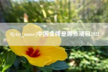 龙岩中国金牌是哪些项目2021