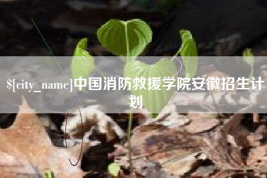 龙岩中国消防救援学院安徽招生计划