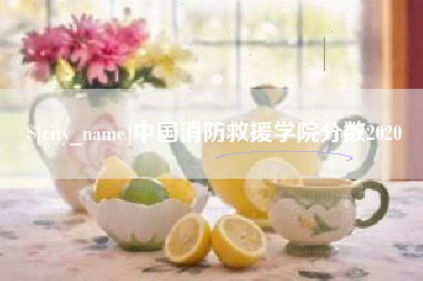 龙岩中国消防救援学院分数2020