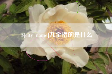 龙岩九金指的是什么