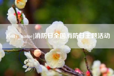 龙岩消防日全国消防日主题活动