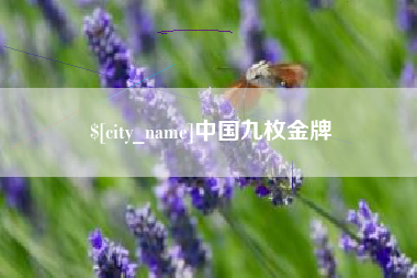 龙岩中国九枚金牌