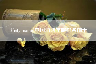 龙岩中国消防学院排名前十