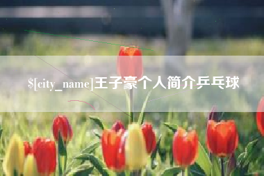 龙岩王子豪个人简介乒乓球